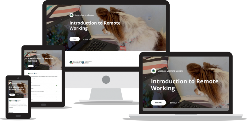 Remote Working Course