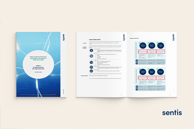 Sentis Case Study 1